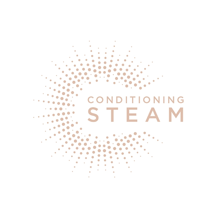 ST492E BABYLISS pegla za kosu na paru ST492E (39mm)