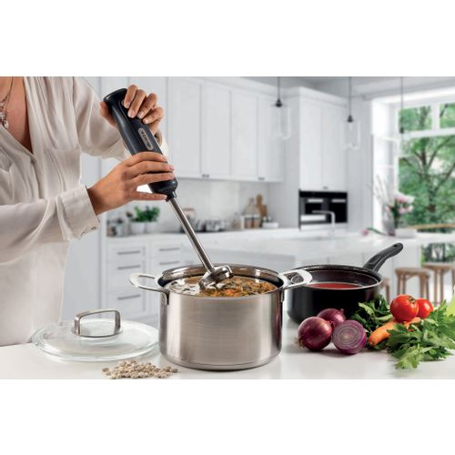 00C060110AR0 ARIETE štapni mikser 3u1 601/10 tamno sivi